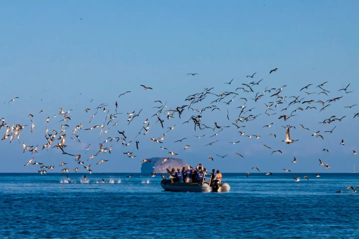 Luxus Galapagos Kreuzfahrt mit Hermes Mega Catamaran Sport und Entertainment