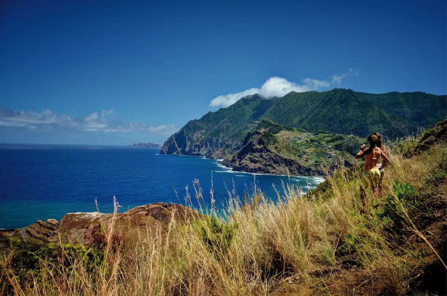 Levadas, üppige Vegetation und raue Küsten Landschaft