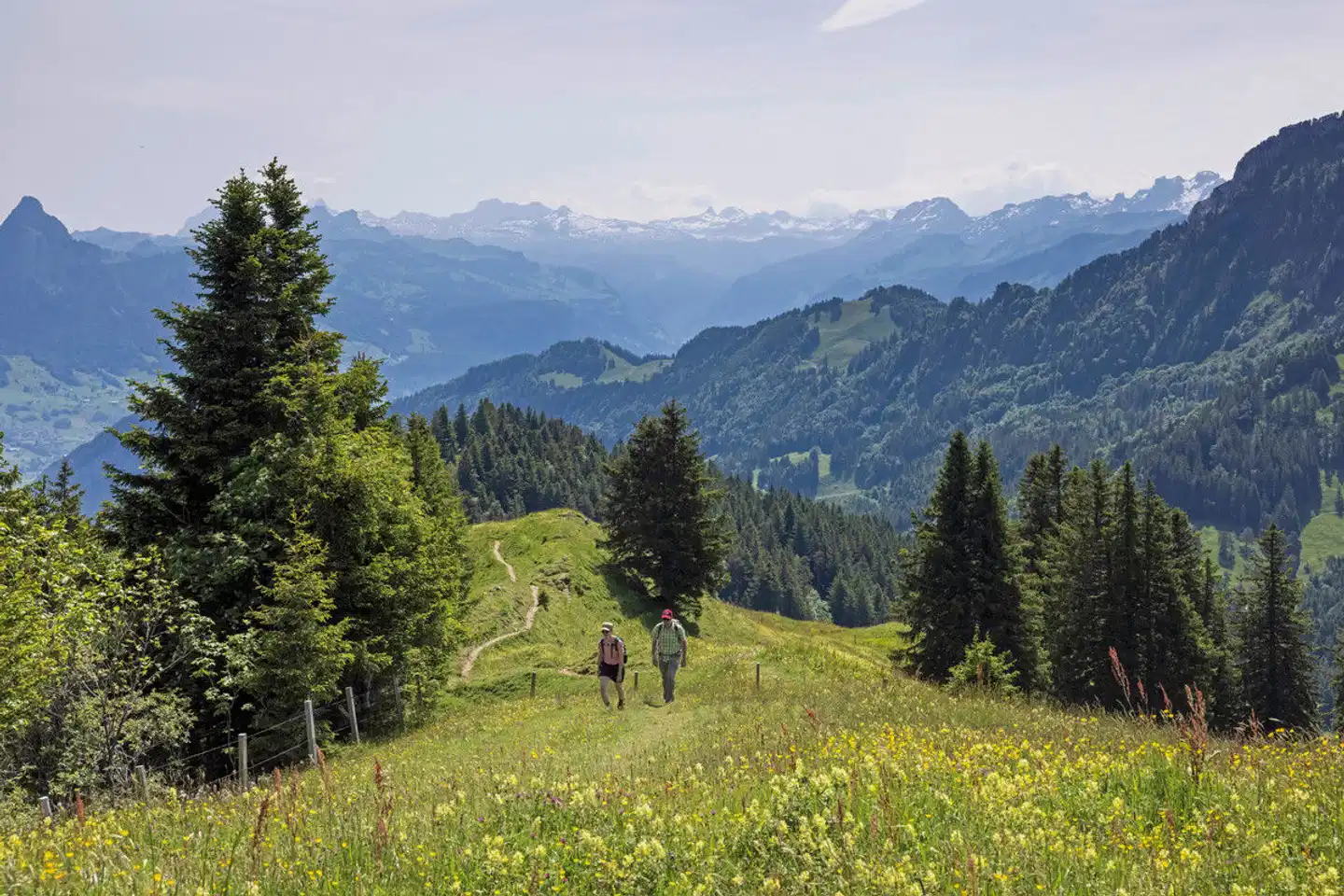 Rundtour Vierwaldstättersee Landschaft