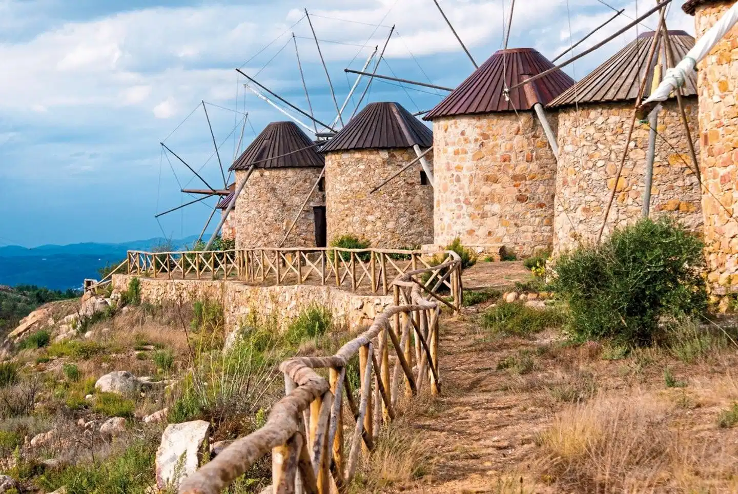 Das Beste von Portugal Tiere