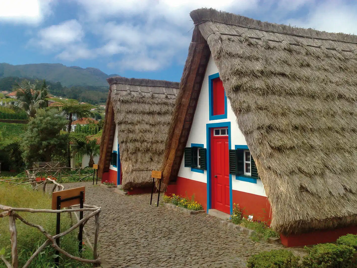 Levadas, üppige Vegetation und raue Küsten Tiere
