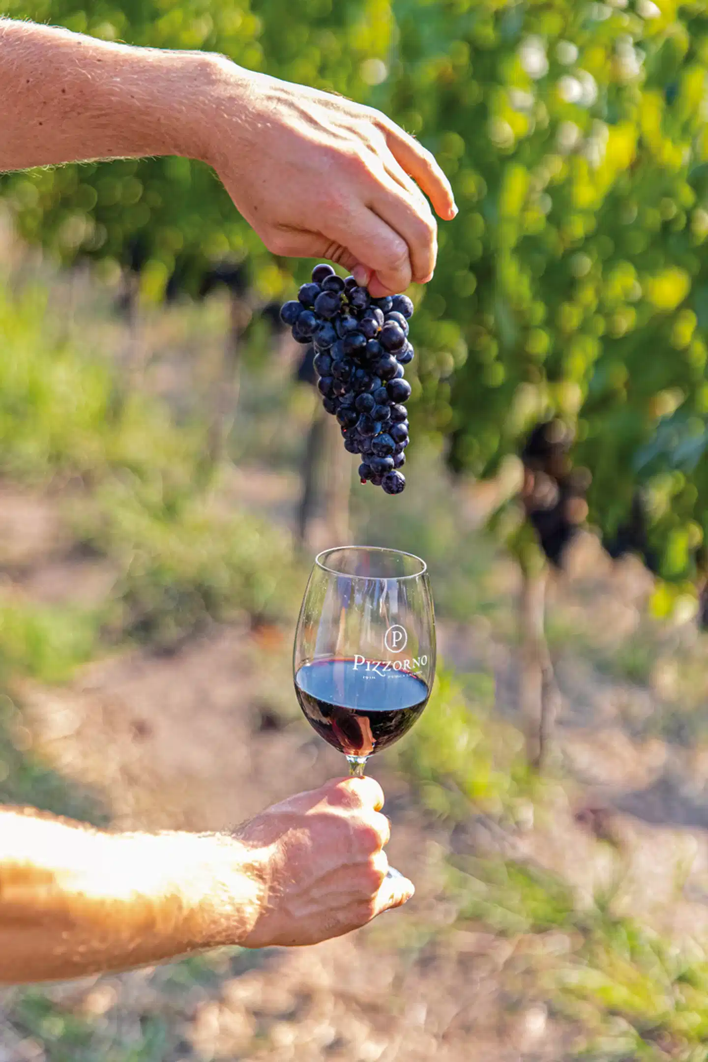 Perlen Uruguays Garten