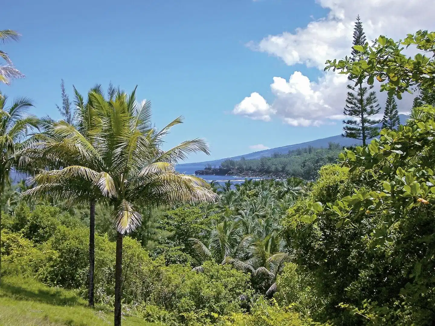 La Réunion - Insel der tausend Gesichter Landschaft