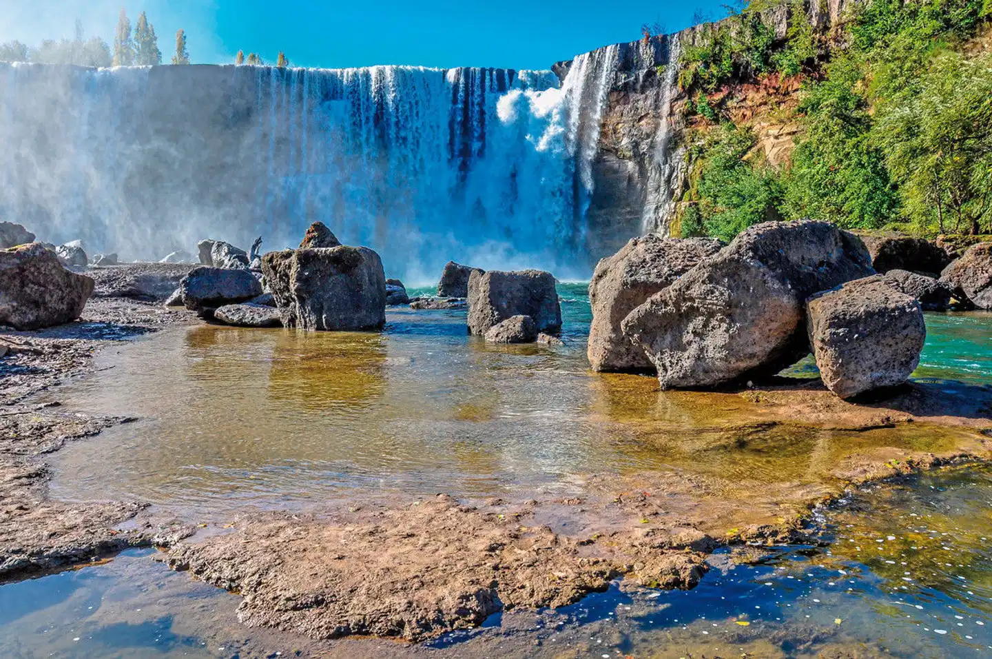 Rauhes Patagonien & mystische Osterinsel Tiere