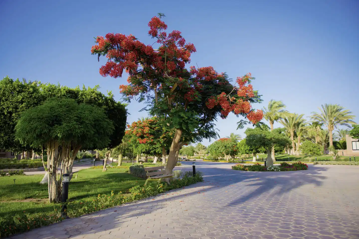 Pharaoh Azur Resort Aussenansicht