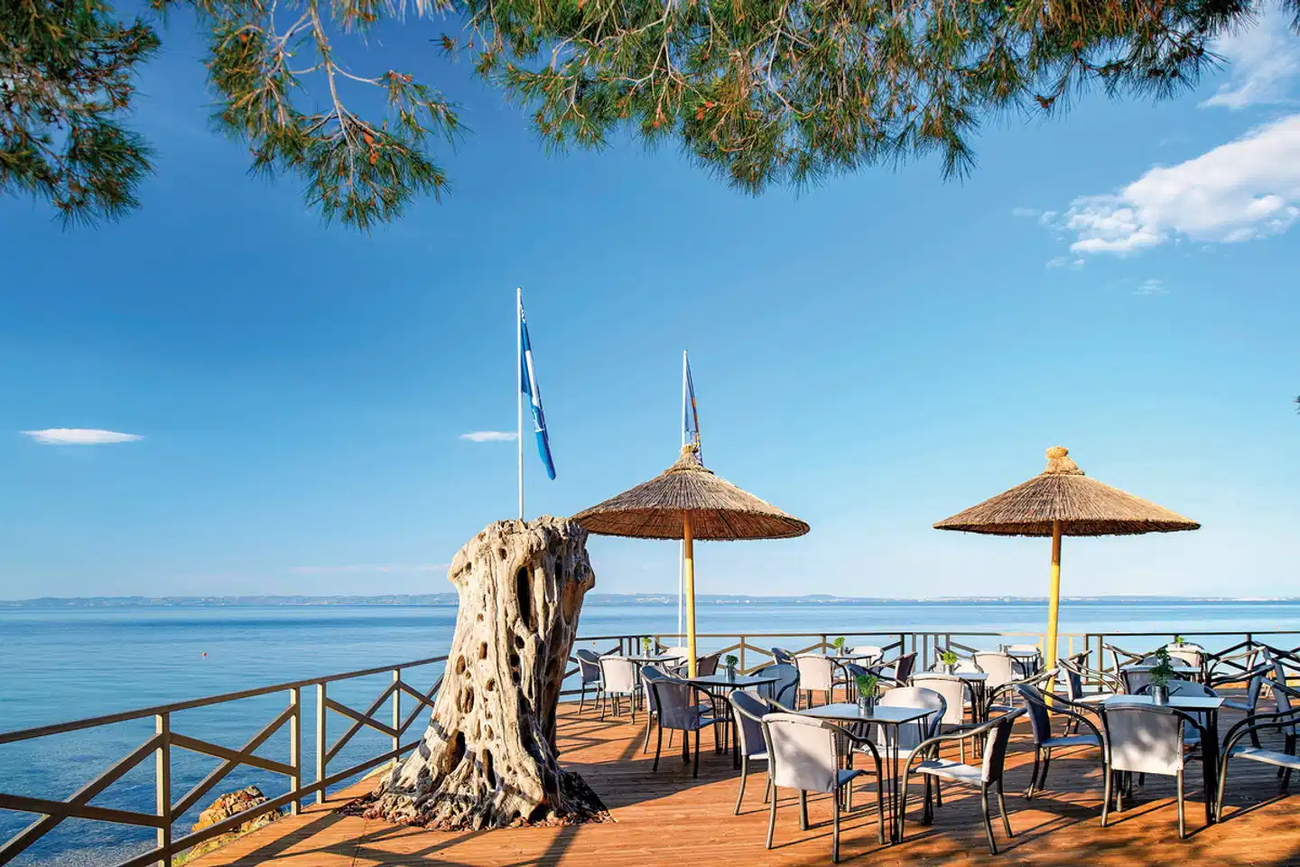 Blue Dolphin Restaurant