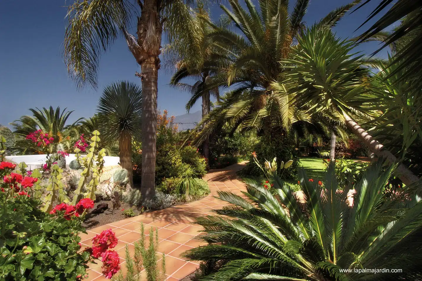 La Palma Jardin Garten