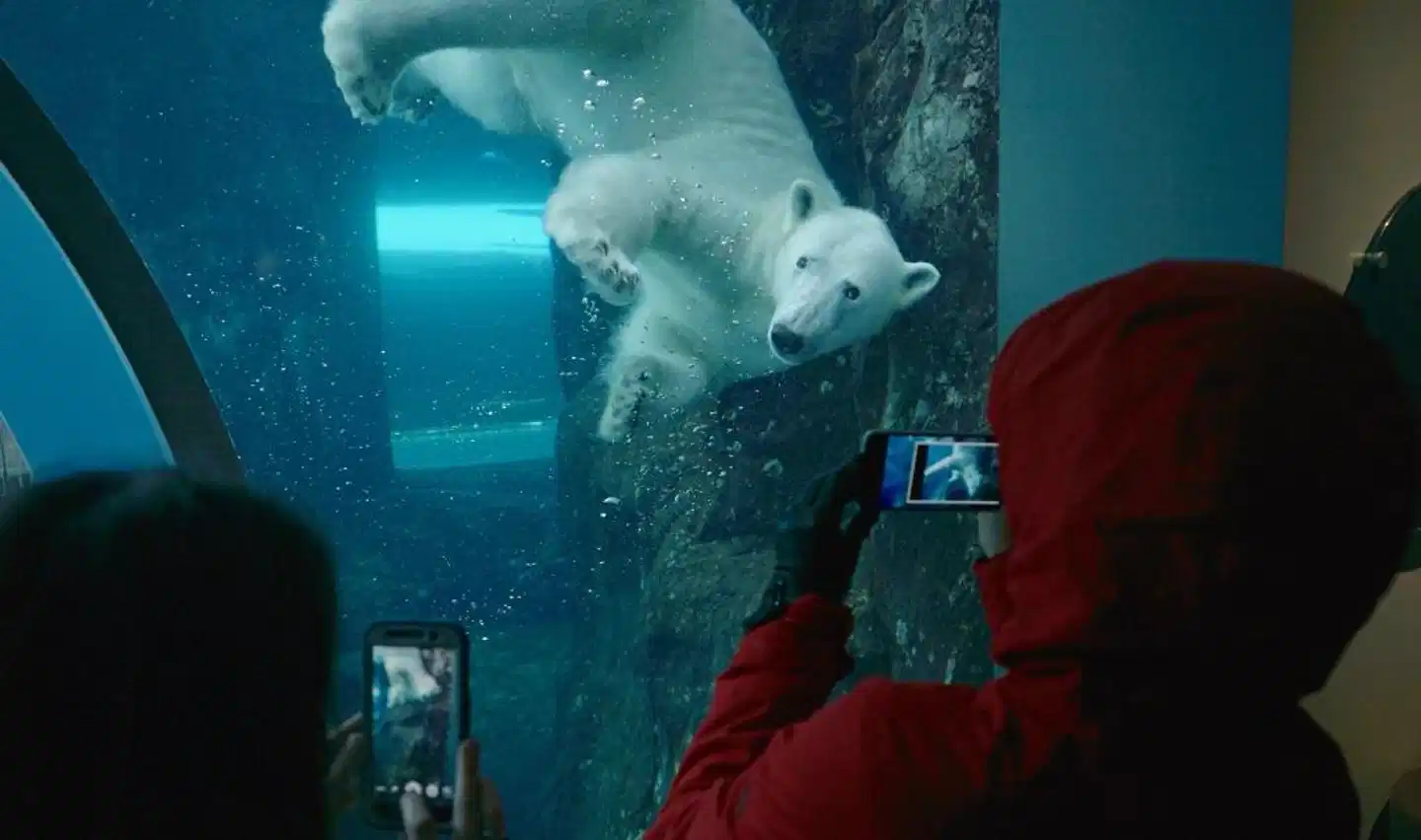 Delta Hotels by Marriott Winnipeg Tiere