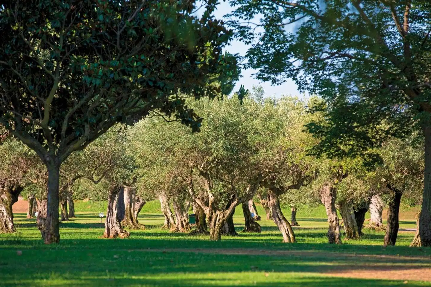 Mangia's Lipari Club Sport und Entertainment