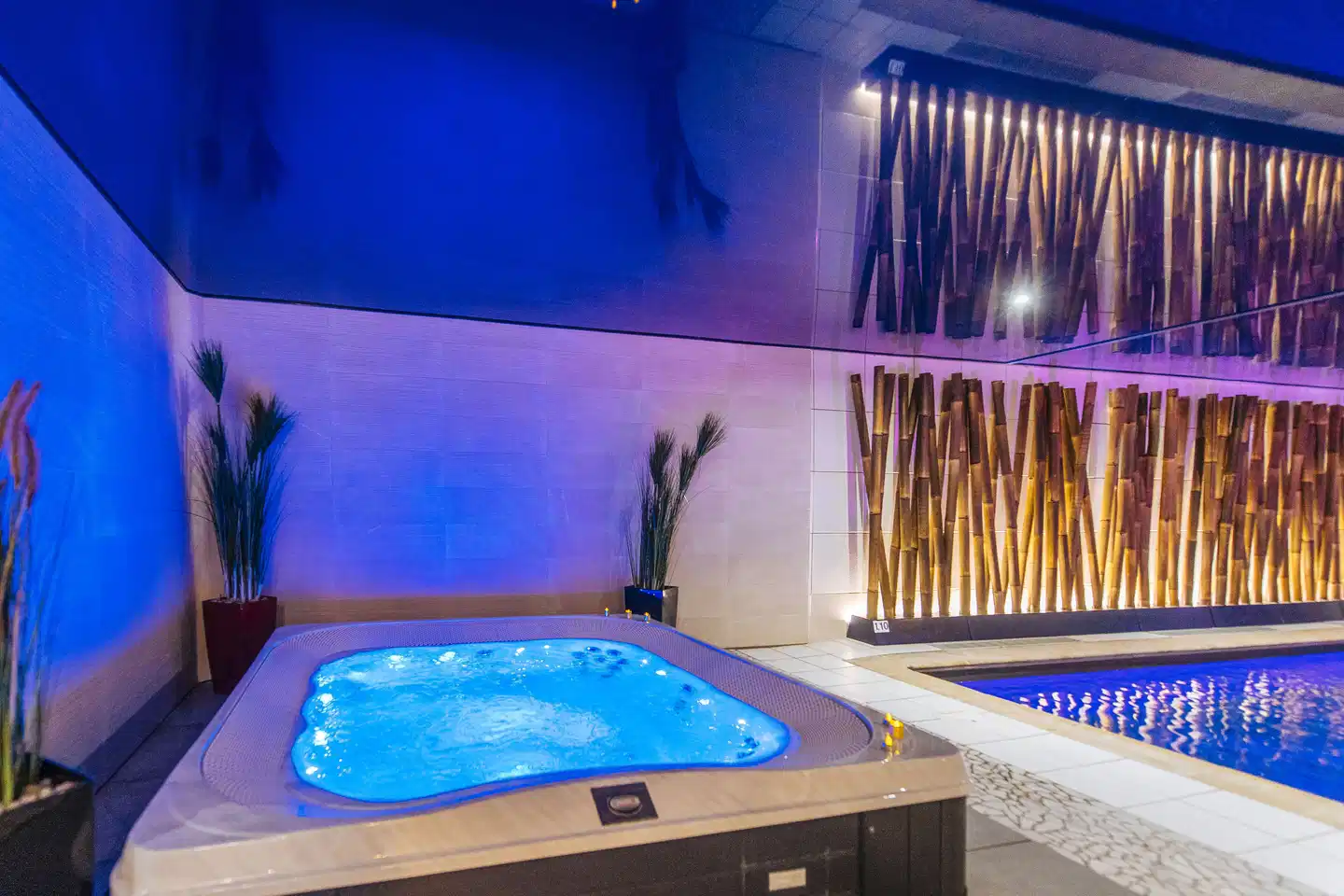 Best Western Plus Au Cheval Blanc Mulhouse Nord Wellness