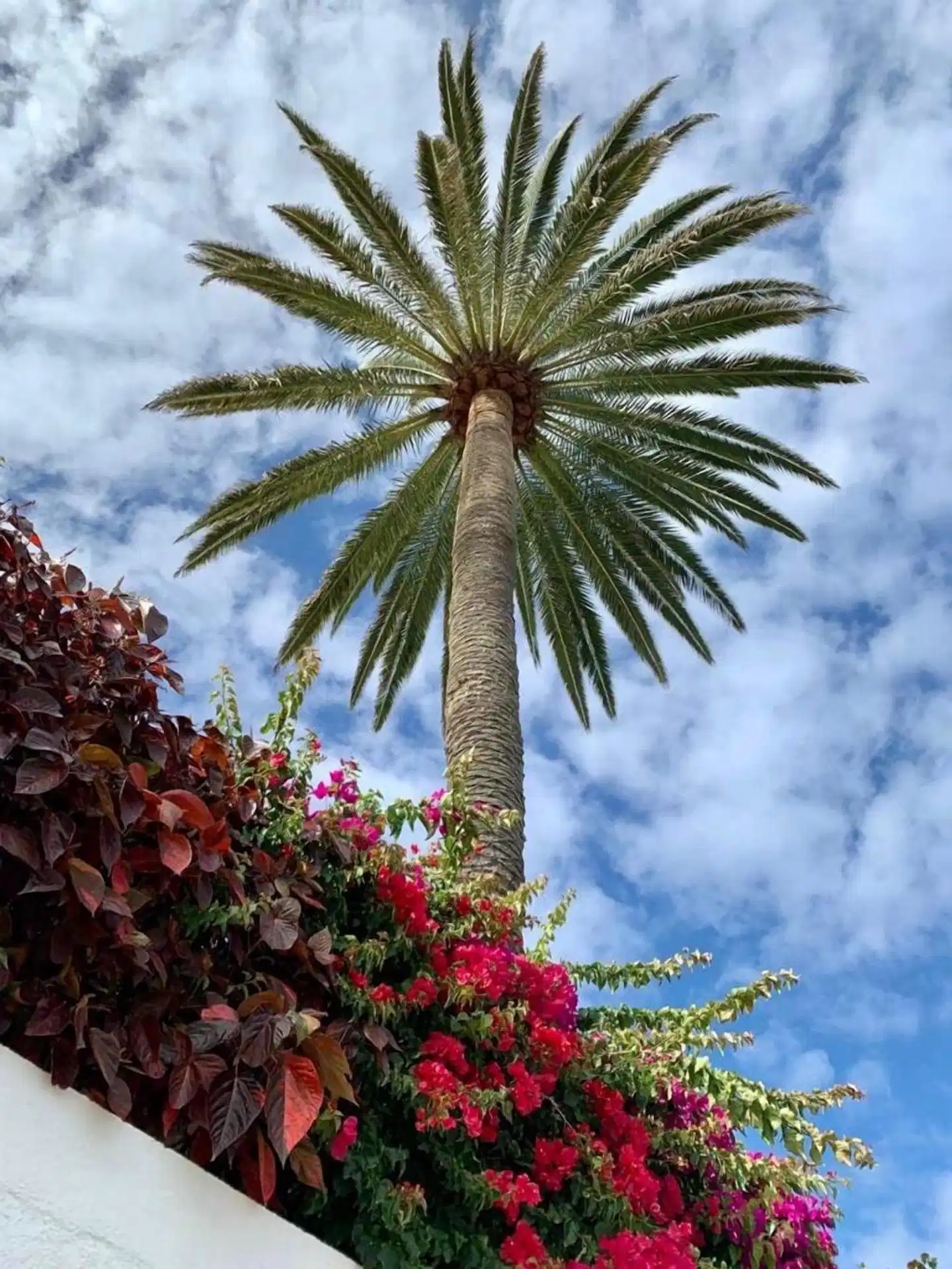 Casa Rural Malpais Trece Garten