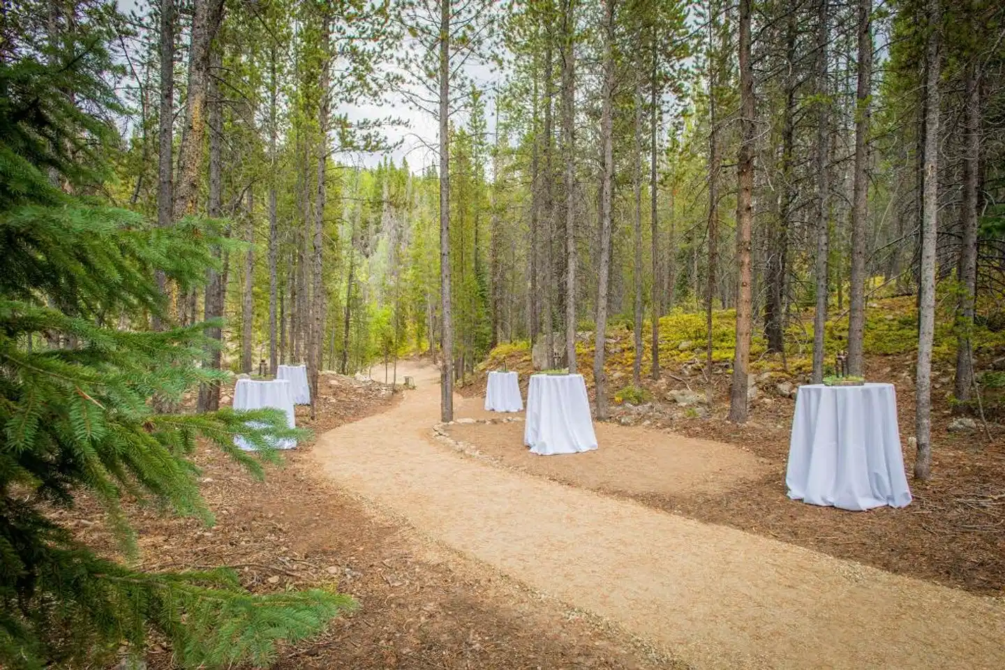 Winter Park Mountain Lodge Strand