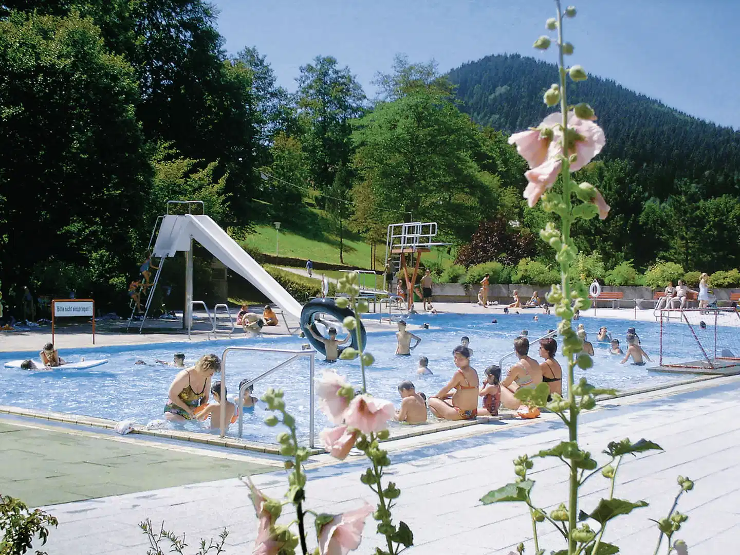Hotel Zum Schützen Pool