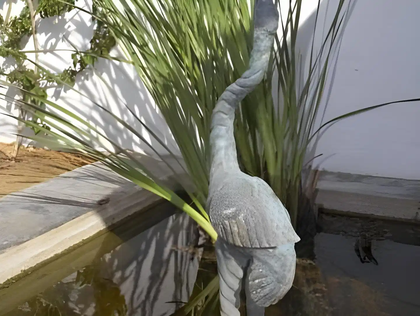 Rural Agroturismo Atzaró Ibiza Tiere