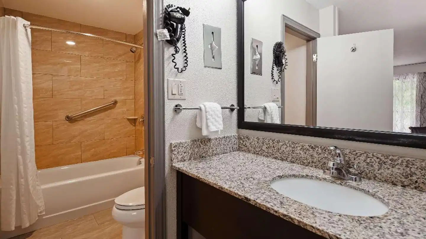 Best Western Asheville Tunnel Road Badezimmer