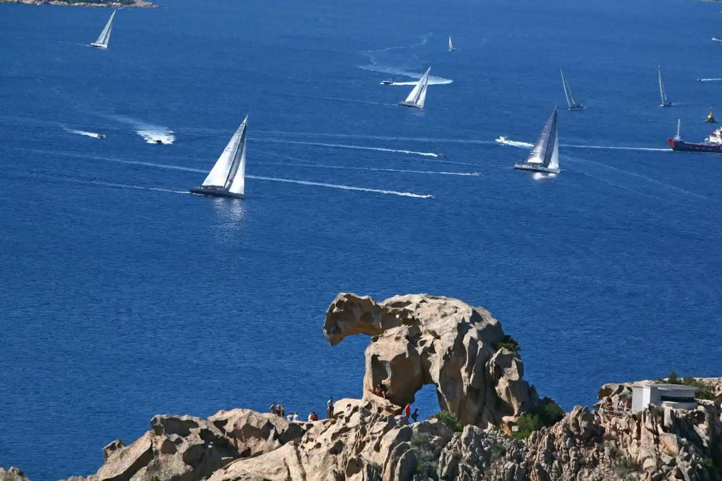 Li Finistreddi Exclusive Country Retreat Tiere