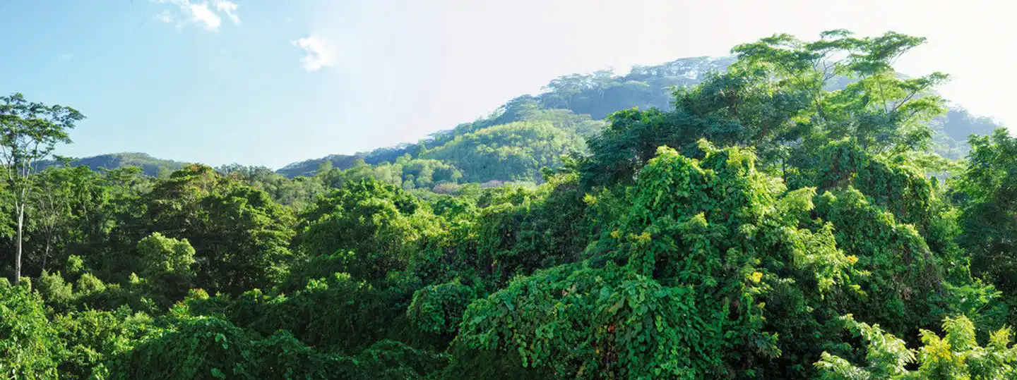 Tropical Hideaway Self Catering Holiday Apartments Landschaft