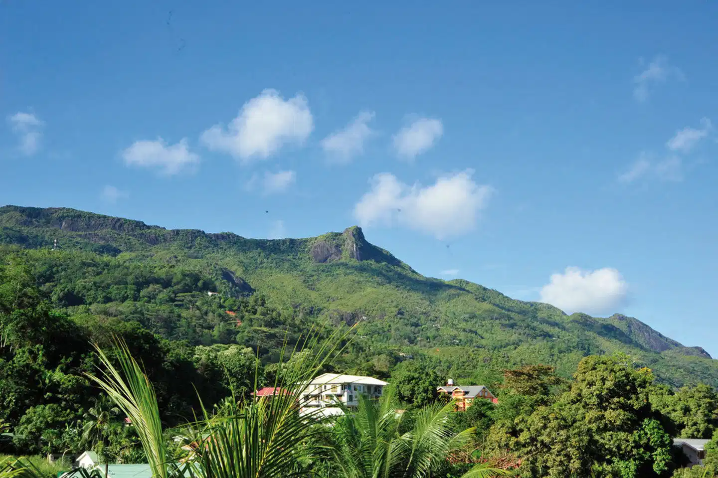 Tropical Hideaway Self Catering Holiday Apartments Landschaft