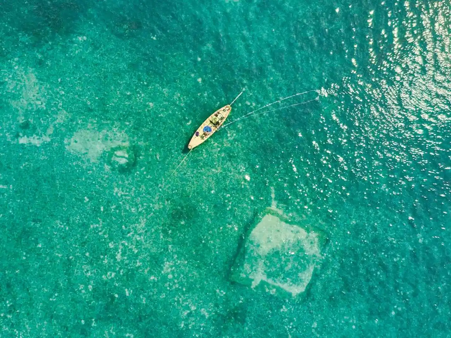 Mövenpick Villas & Residences  Phu Quoc Tiere