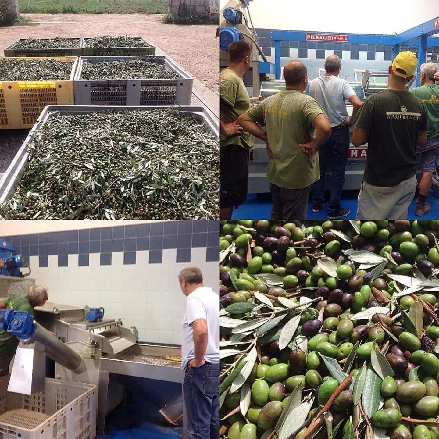 Masseria Stali Garten