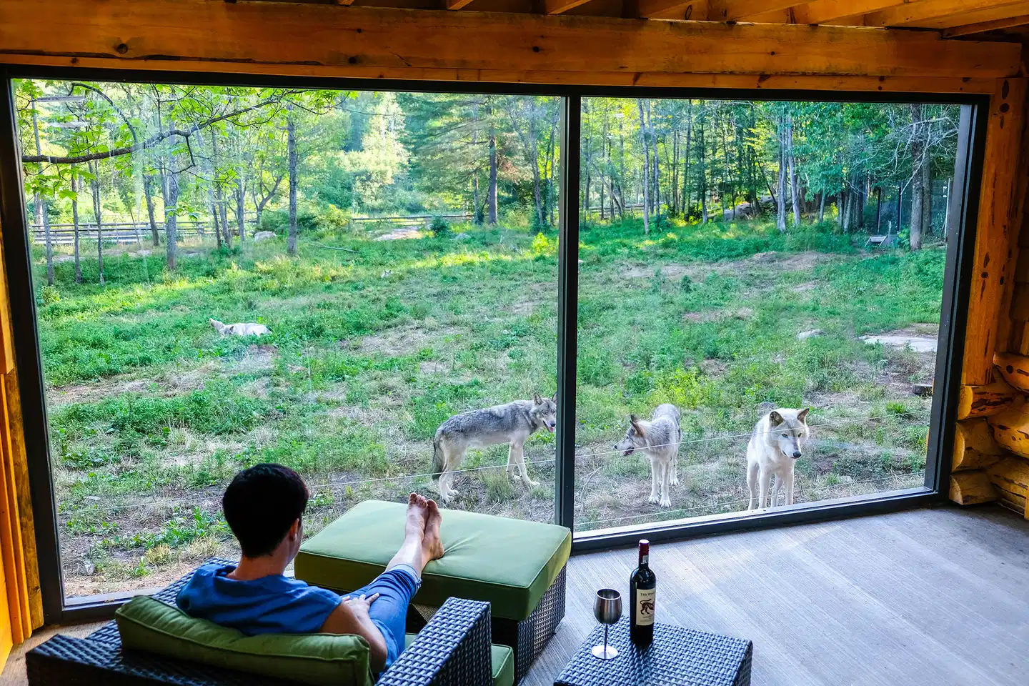 Parc Omega Terrasse