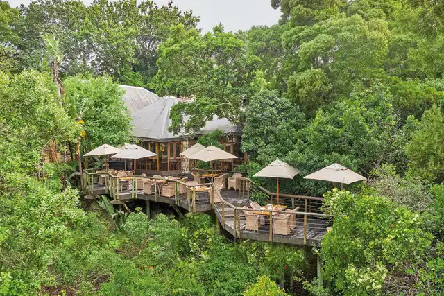 Tsala Treetop Lodge Garten