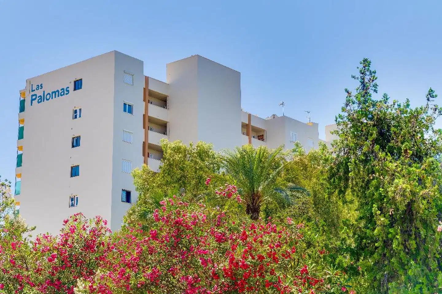 Las Palomas Apartments Econotels Aussenansicht