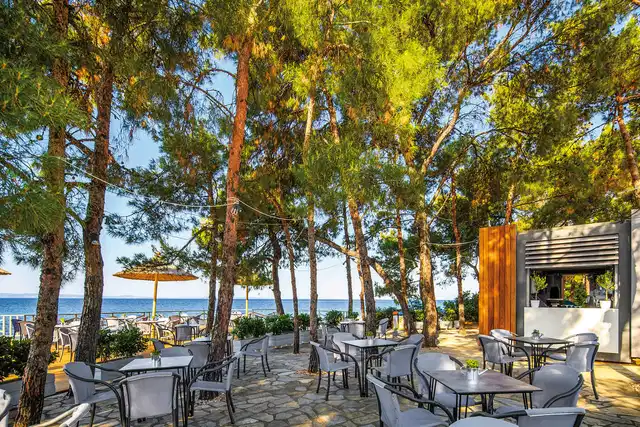 Blue Dolphin Terrasse