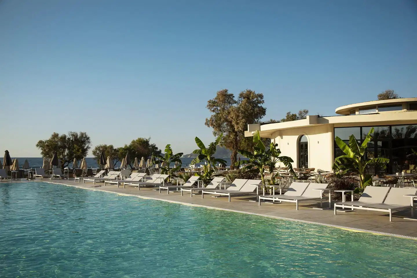 Domes Aulus Zante, Autograph Collection Pool