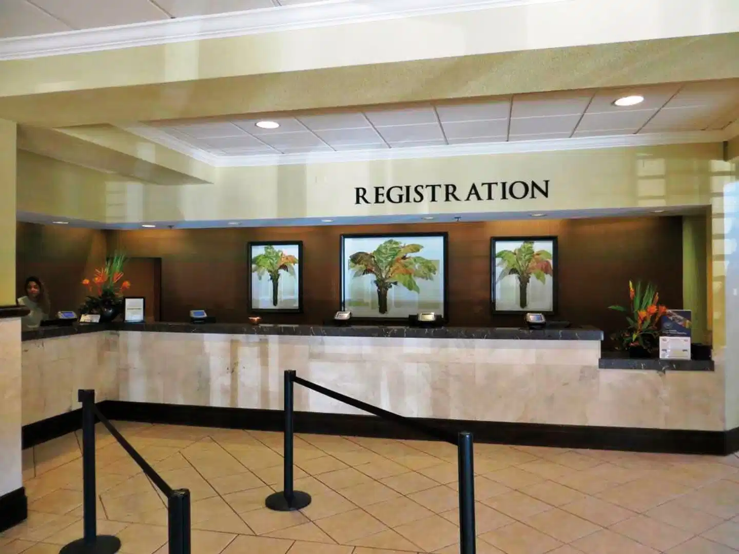 Rosen Inn at Pointe Orlando Bar