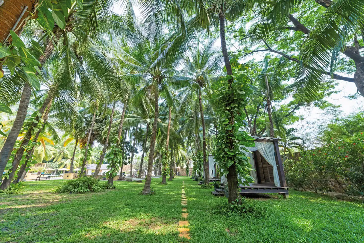 Lotus Blanc Resort Garten