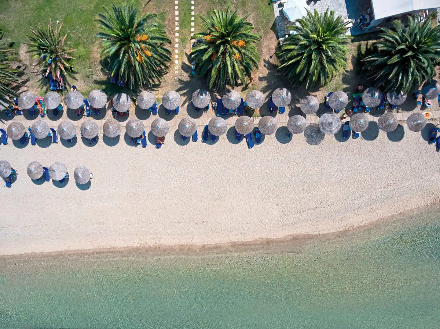 Acrotel Lily Ann Boutique Tiere