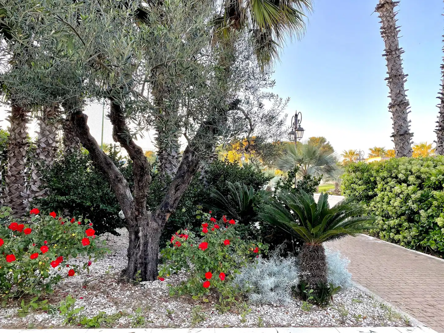 Giardino Dei Pini Garten