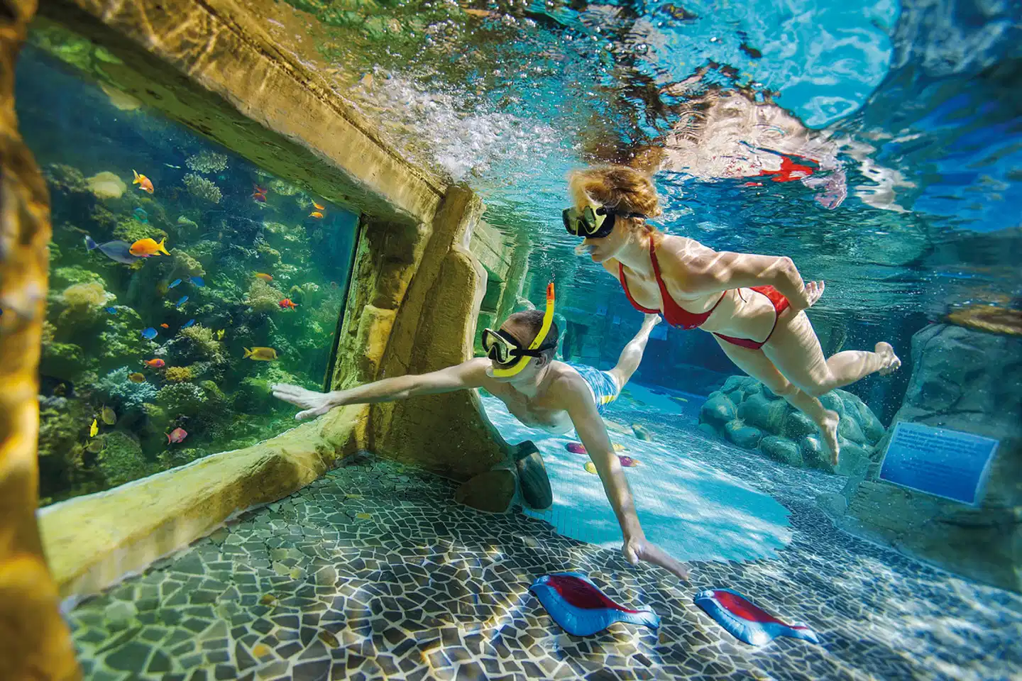 Center Parcs De Kempervennen Sport und Entertainment