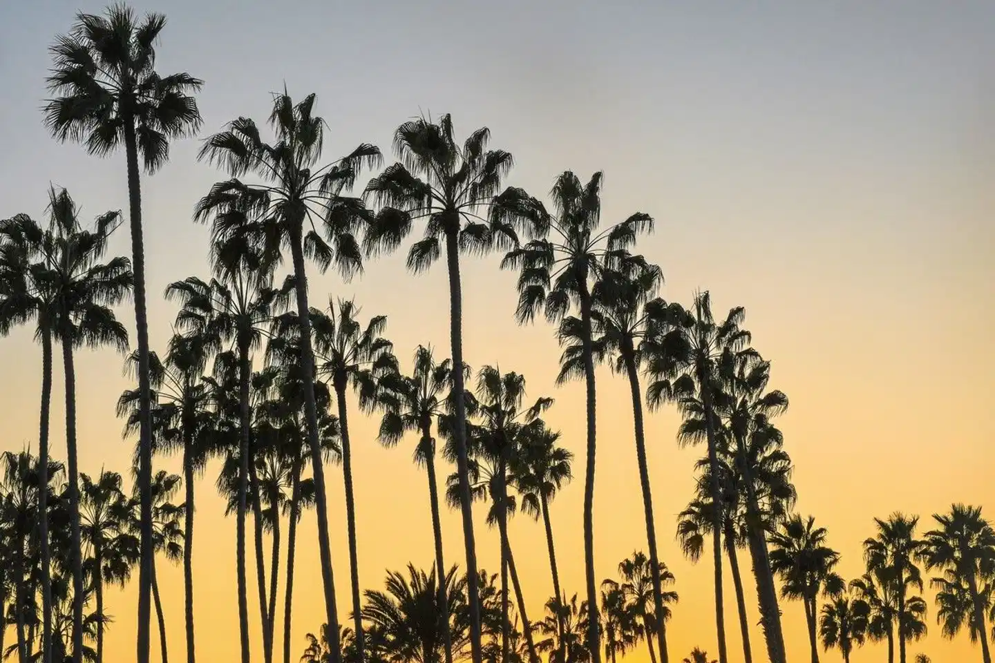 Legendäre Route 66 Landschaft