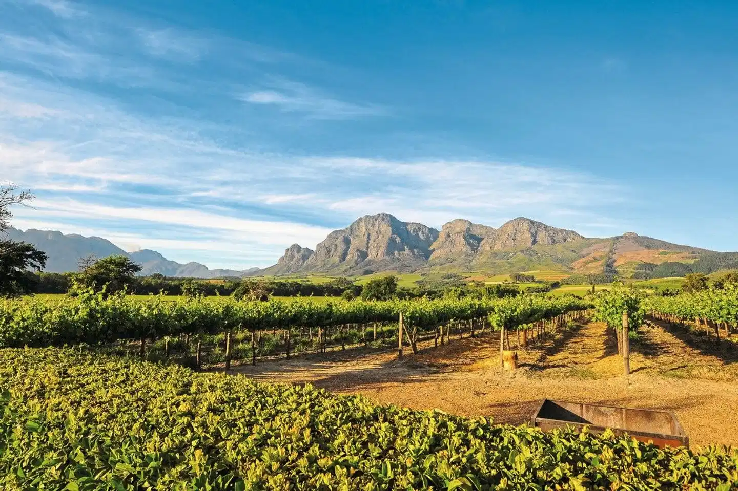 Südafrika - Die Highlights der Kapregion und Gardenroute erwandern Landschaft