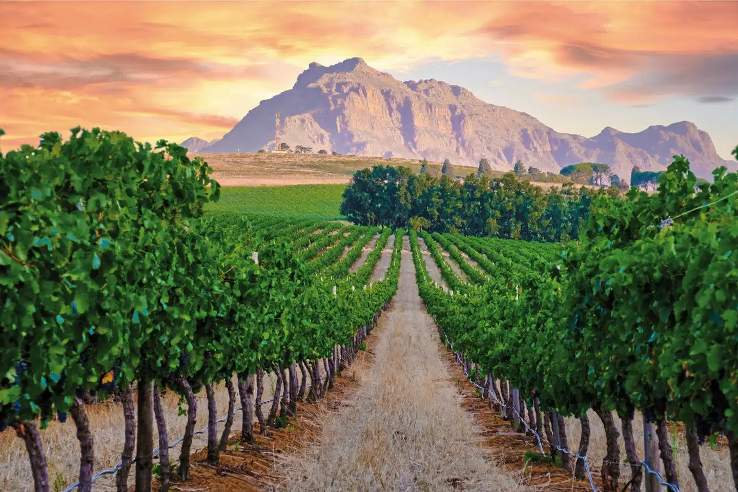 Südafrika - Die Highlights der Kapregion und Gardenroute erwandern Landschaft