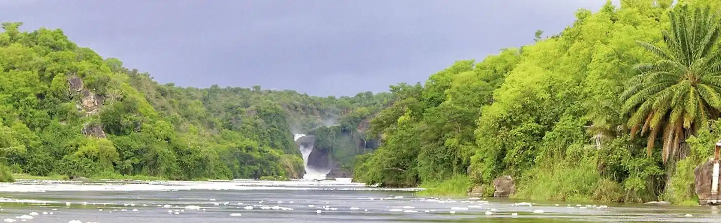 Uganda Entdecken Landschaft