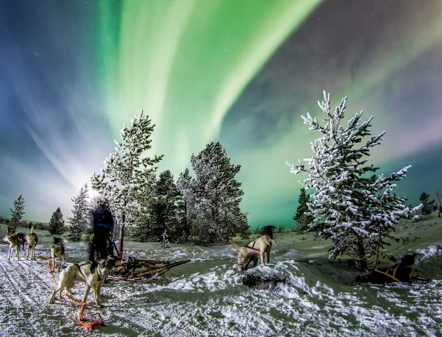 Kirkenes eiskalt erleben Landschaft