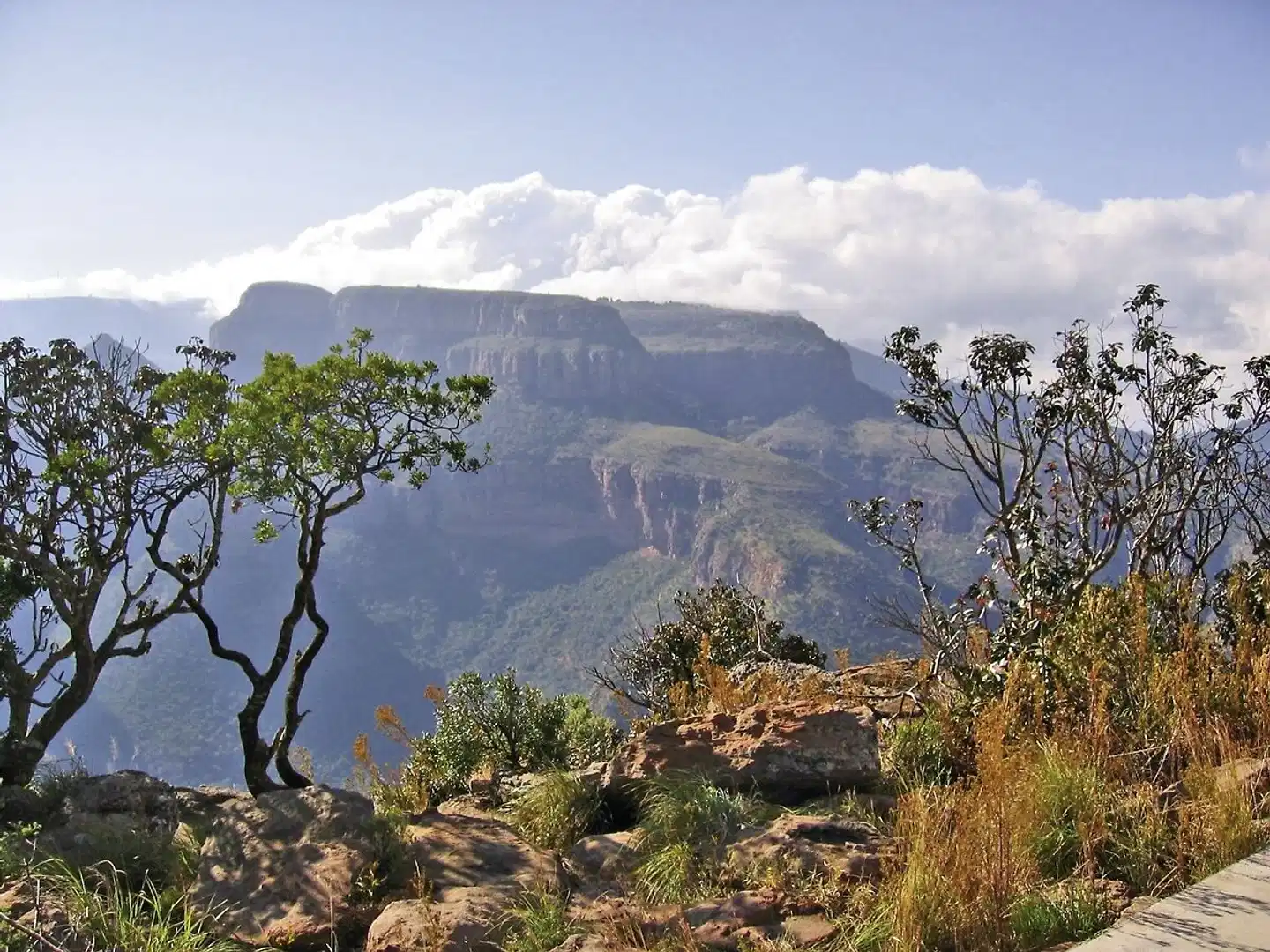 Best of South Africa von Johannesburg nach Kapstadt Landschaft