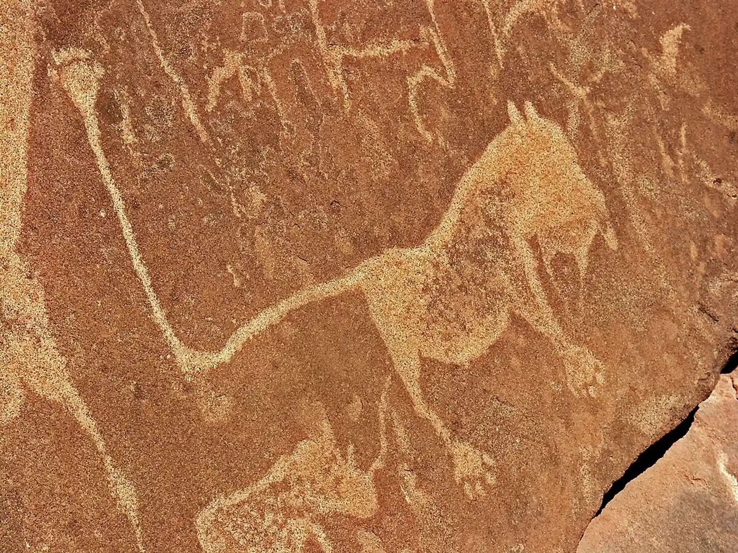 Namibia Classic Superior Tiere