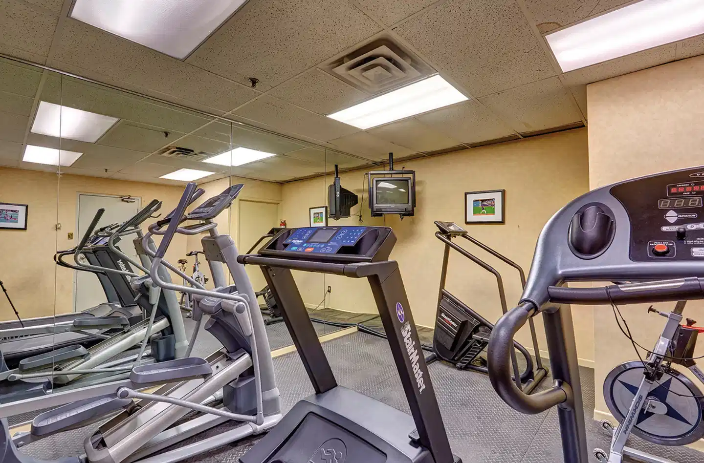 Town Inn Suites Toronto Sport und Entertainment