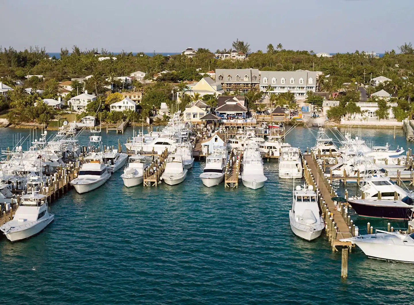 Valentines Resort Tiere