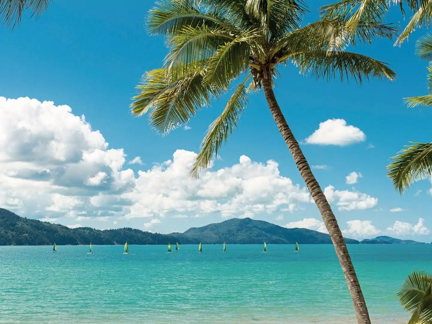 Hamilton Island Palm Bungalows Strand