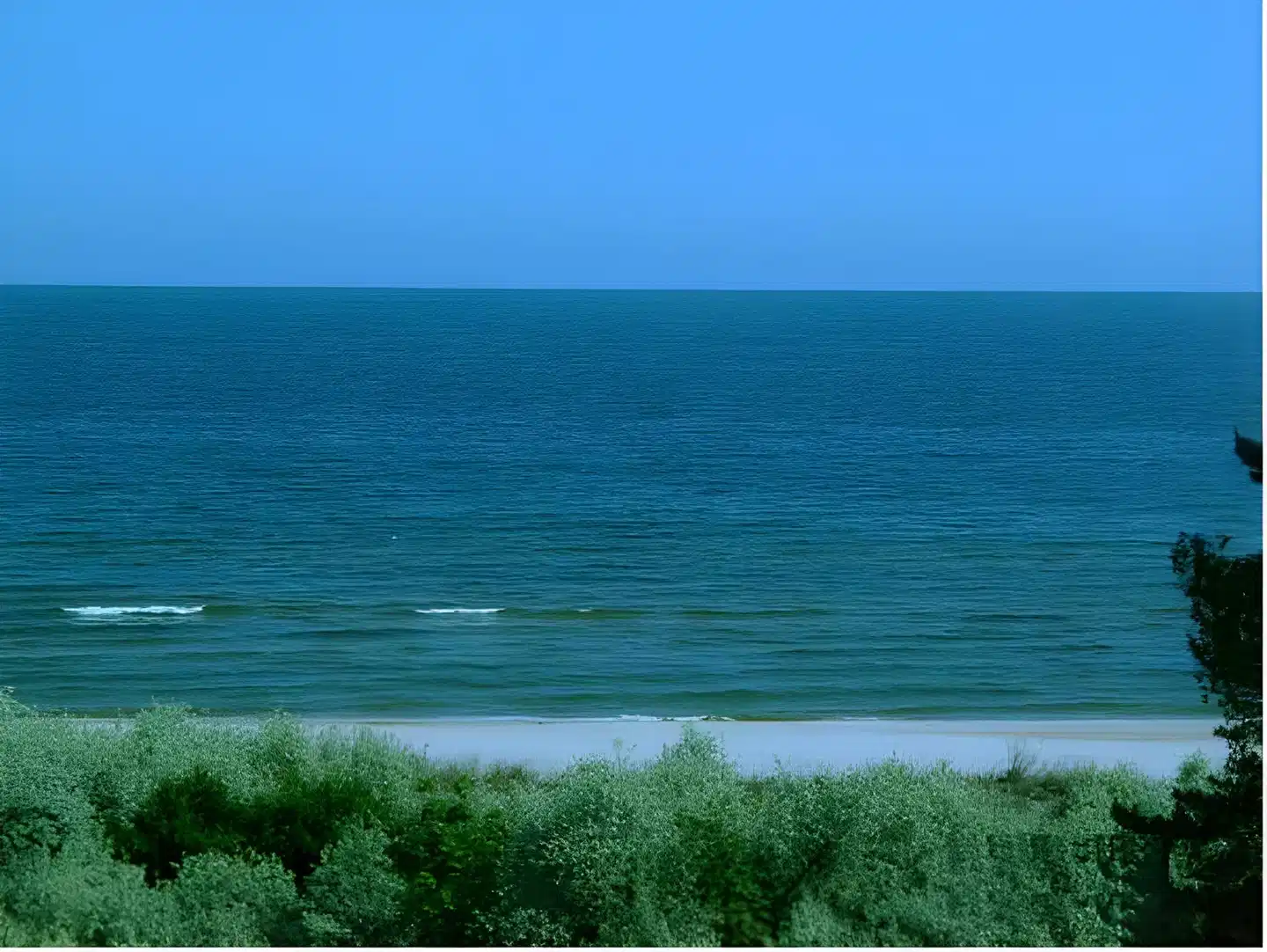 Villa Strandrose Landschaft