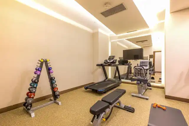 Mercure 'stanbul Sirkeci Hotel Sport und Entertainment
