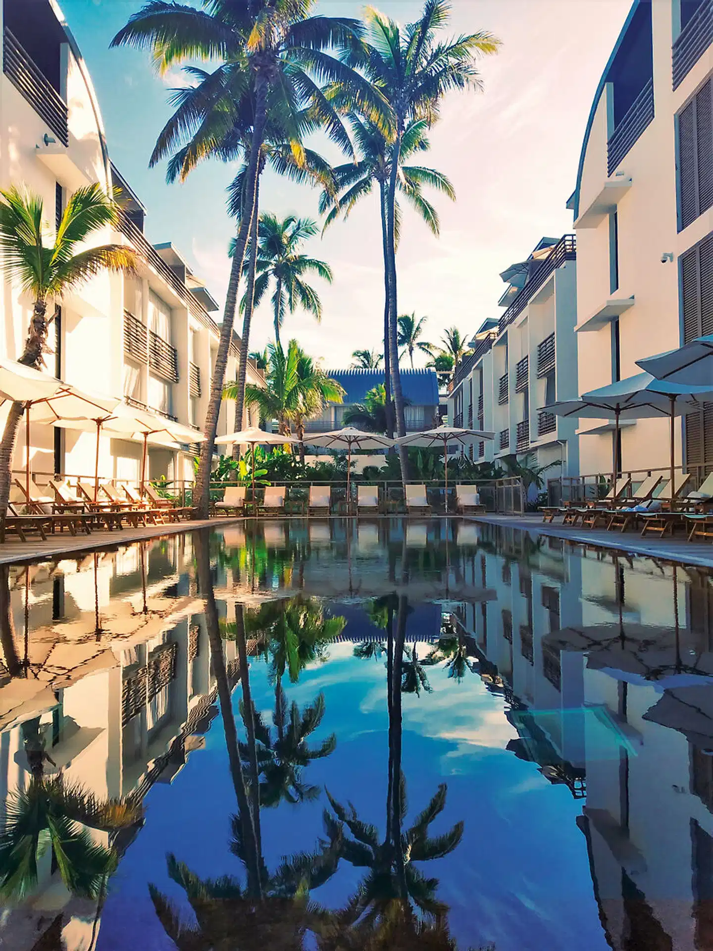 Ness by D-Ocean Pool