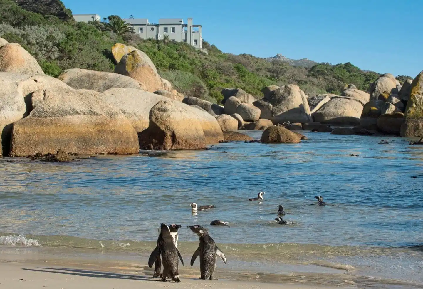 Tintswalo Boulders Strand