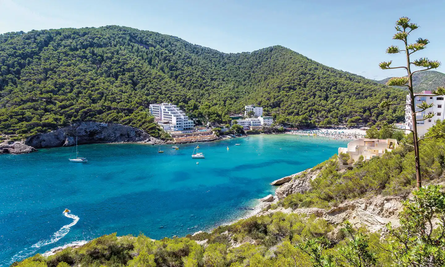 Palladium Cala Llonga Landschaft