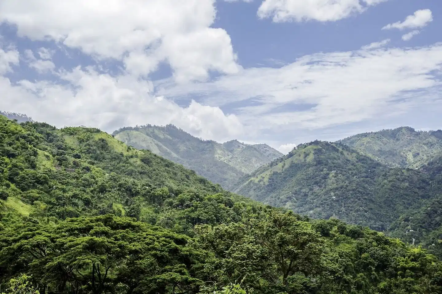 Strawberry Hill Landschaft